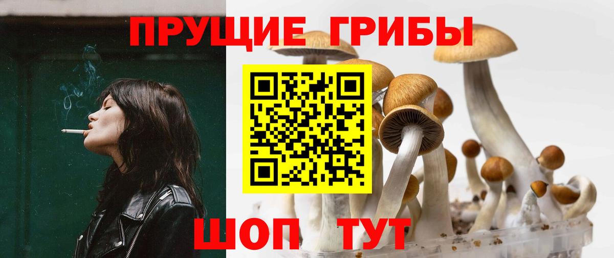 Псилоцибиновые грибы Psilocybine cubensis Саратов